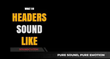 Decoding Header Sounds: Unveiling the Unique Audio Signature of Headers