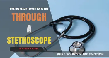 Exploring the Symphony of Healthy Lungs Through a Stethoscope