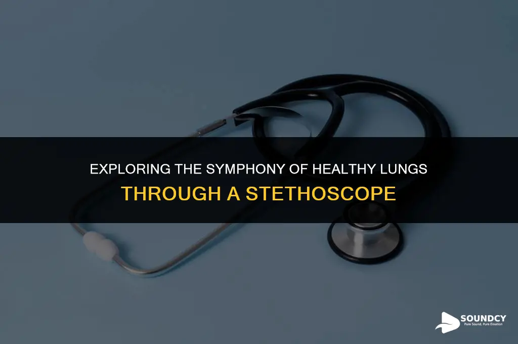 what do healthy lungs sound like through a stethoscope
