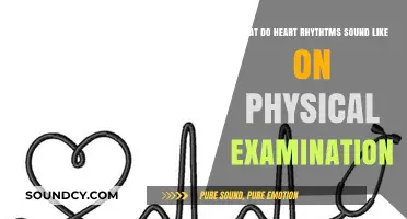 Exploring the Symphony of Heart Rhythms: A Guide to Physical Examination Sounds
