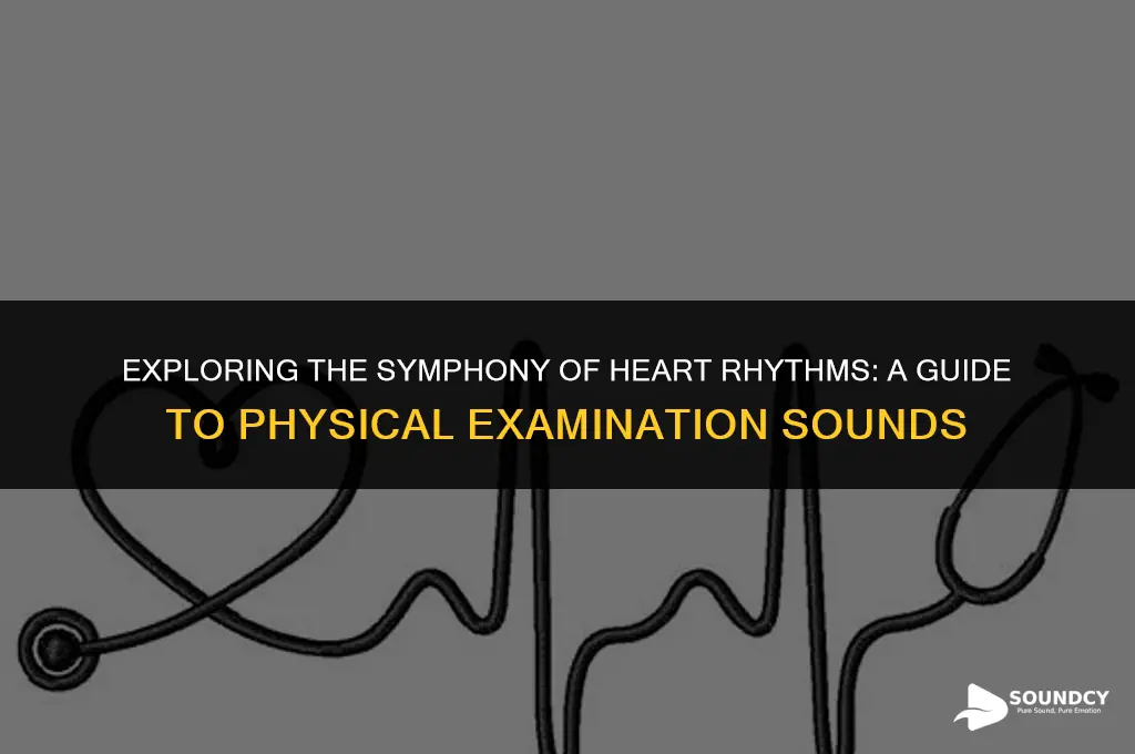 what do heart rhythtms sound like on physical examination