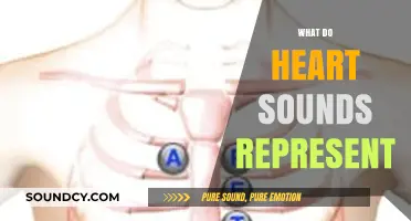 Decoding Heart Sounds: Understanding Their Significance and Clinical Implications