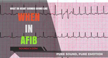 Understanding Atrial Fibrillation: What Do Heart Sounds Reveal?