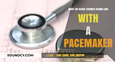 Rhythmic Whispers: Understanding Heart Sounds with a Pacemaker