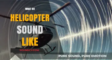 The Unique Whirring and Thumping Sounds of Helicopters Explained