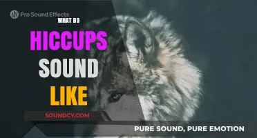 Unraveling the Unique Sound of Hiccups: What Do They Really Sound Like?