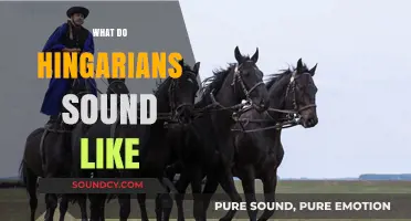 Exploring the Unique Hungarian Accent: How Hungarians Sound to Foreign Ears