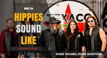Exploring the Unique Vocal Tones and Language of Hippie Culture