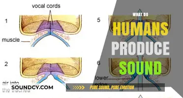 How Humans Create Sound: Exploring the Science of Vocal Production