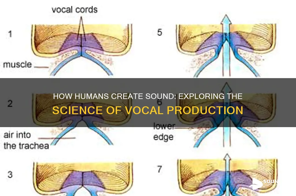 what do humans produce sound
