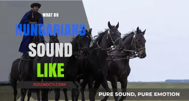 Exploring the Unique Hungarian Accent: How Hungarians Sound to Foreign Ears