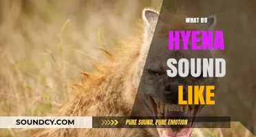 Unveiling the Unique and Eerie Sounds of Hyenas in the Wild