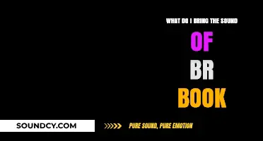 Echoes of BR: Unpacking the Sonic Journey Within