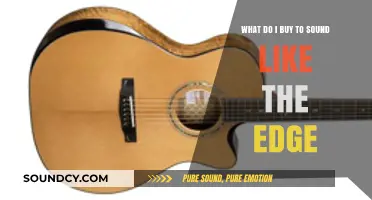 Gear Up to Shred: Essential Picks for Edge-Inspired Guitar Tones