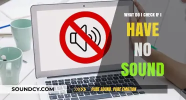 Troubleshooting Guide: What to Check If You Have No Sound