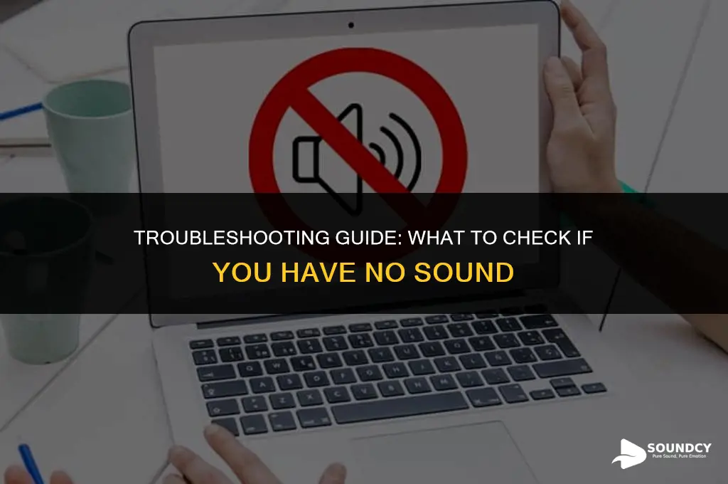 what do i check if i have no sound