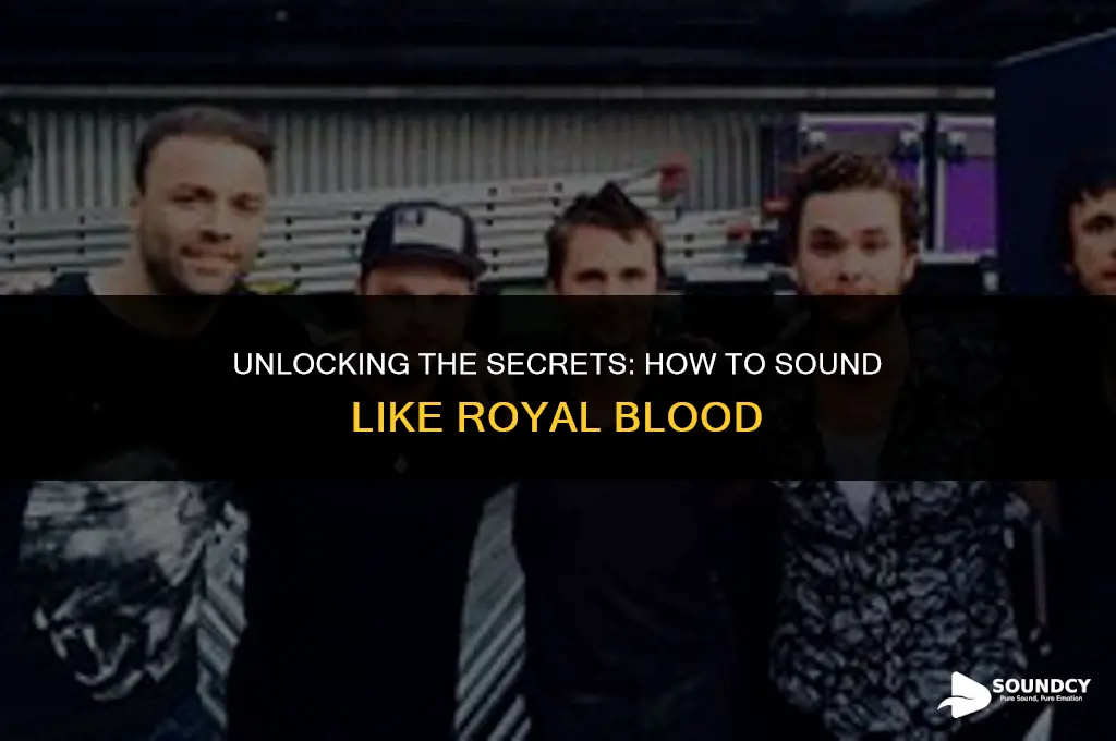 what do i need to sound like royal blood