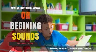 Decoding the Dilemma: Vowels vs. Beginning Sounds in Early Literacy