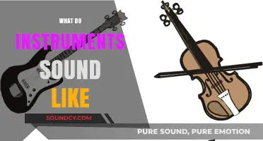 Exploring the Unique Sonic Signatures of Musical Instruments
