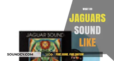 Unveiling the Unique Vocalizations: What Do Jaguars Sound Like?