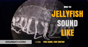 Unveiling the Silent World: What Sounds Do Jellyfish Make?