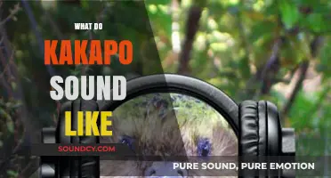 Unveiling the Unique Vocalizations of the Rare Kakapo Bird