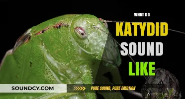 Unveiling the Unique Sounds of Katydids: A Guide to Their Calls