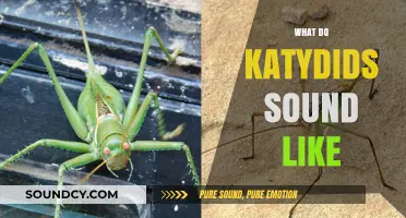 Unveiling the Unique Sounds of Katydids: A Guide to Their Calls