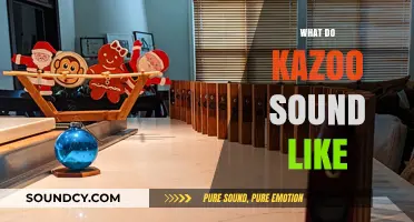 Unveiling the Unique Buzz: What Does a Kazoo Sound Like?