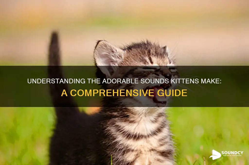 what do kittens sound like