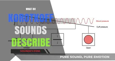 Understanding Korotkoff Sounds: Blood Pressure Measurement and Clinical Significance
