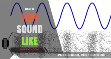 Exploring the Unique Sounds of KSN: What Do They Really Sound Like?