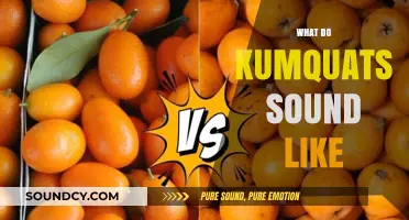 Exploring the Unique Sounds of Kumquats: A Sensory Adventure