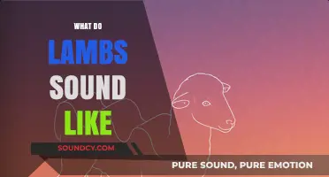 Exploring the Unique Sounds of Lambs: A Guide to Their Vocalizations