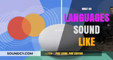 Exploring the Unique Sonic Identities of Languages Around the World
