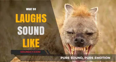 Exploring the Unique Sounds of Laughter: What Do Laughs Sound Like?