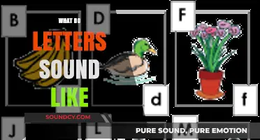 Exploring the Unique Sounds of Letters in Language and Communication