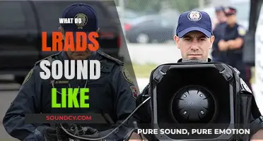 Unveiling the Sonic Power: What LRADs Sound Like and Why