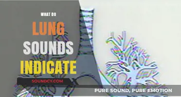 Decoding Lung Sounds: What Abnormal Breath Sounds Indicate About Health