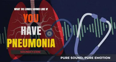 Understanding Pneumonia: What Do Lungs Sound Like?