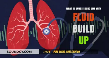 Understanding Fluid Build-Up: What Do Lungs Sound Like?