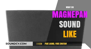 Unveiling Magnepan's Sonic Signature: A Detailed Listening Experience Guide