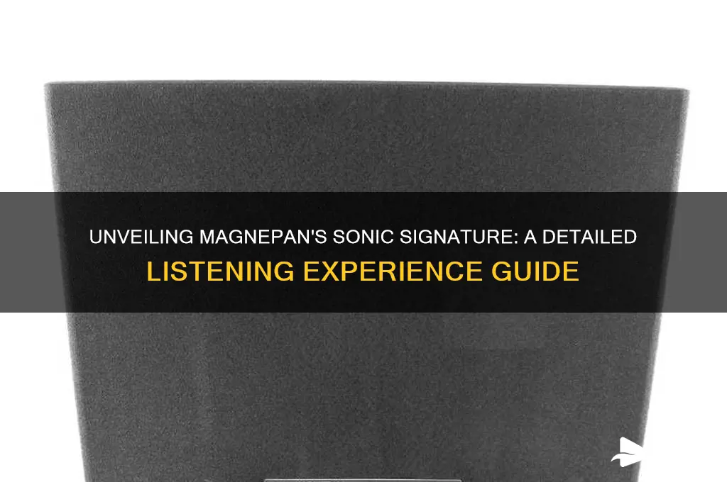 what do magnepans sound like