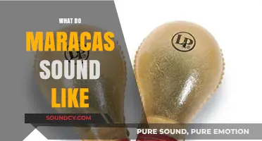 Exploring the Vibrant Rhythms: What Do Maracas Sound Like?