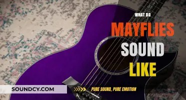 The Unique Sounds of Mayflies: Unveiling Their Acoustic World