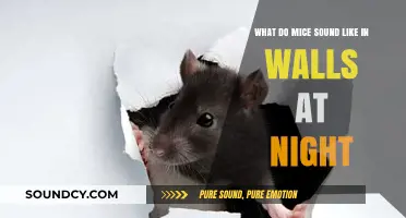 Nocturnal Whispers: Decoding the Mysterious Sounds of Mice in Walls