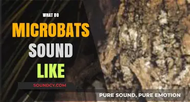 Unveiling the Unique Sonic World of Microbats: Their Sounds Explained
