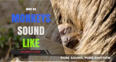 Unveiling the Unique Vocalizations: What Do Monkeys Sound Like?