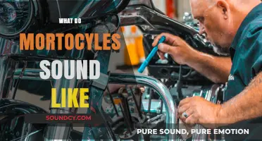 Revving Engines: Exploring the Unique Sounds of Motorcycles