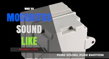 Decoding the Buzz: What Do Mosquitoes Sound Like and Why?